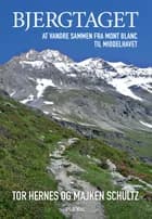 Bjergtaget af Majken Schultz og Tor Hernes
