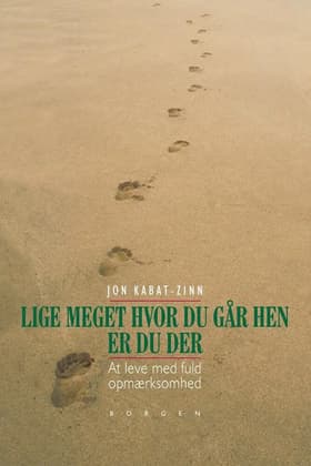 Lige meget hvor du går hen, er du der af Jon Kabat-Zinn
