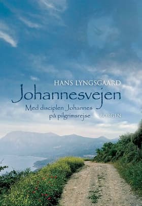 Johannesvejen af Hans Lyngsgaard