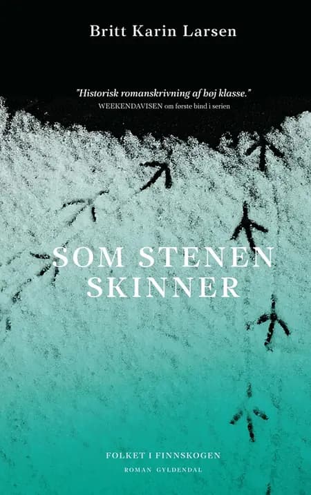 Som stenen skinner af Britt Karin Larsen