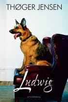Ludwig