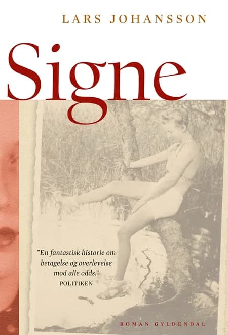 Signe af Lars Johansson