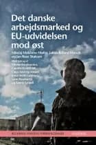DET DANSKE ARBEJDSMARKED OG EU-UDVIDELSEN MOD ØST