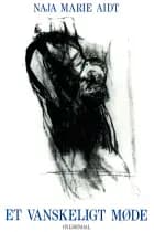 Et vanskeligt møde af Naja Marie Aidt