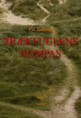 Trækfuglens kompas af Pia Tafdrup