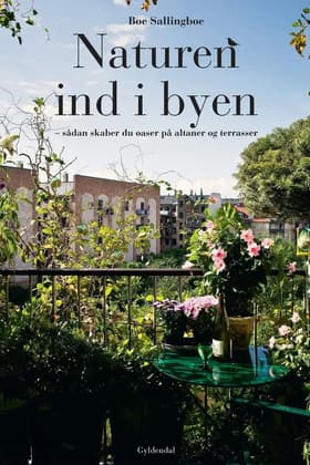 Naturen ind i byen af Boe Sallingboe