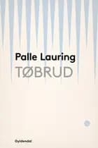 Tøbrud af Palle Lauring