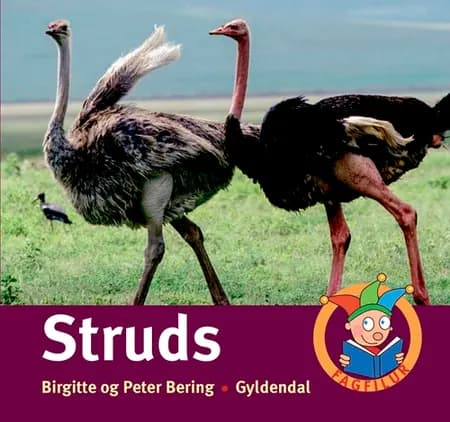 Struds af Birgitte Bering