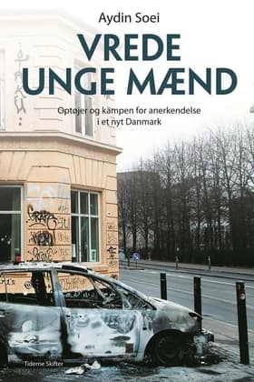 Vrede unge mænd af Aydin Soei