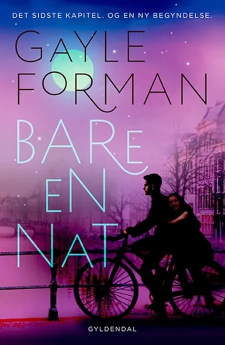 Bare en nat af Gayle Forman