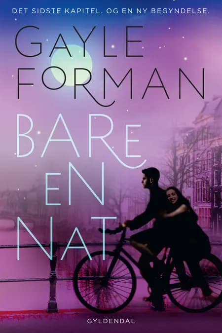 Bare en nat af Gayle Forman