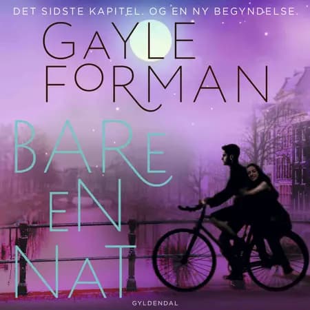 Bare en nat af Gayle Forman