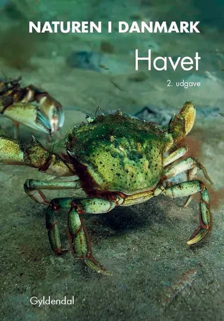 Havet af Kaj Sand-Jensen