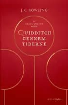 Quidditch gennem tiderne