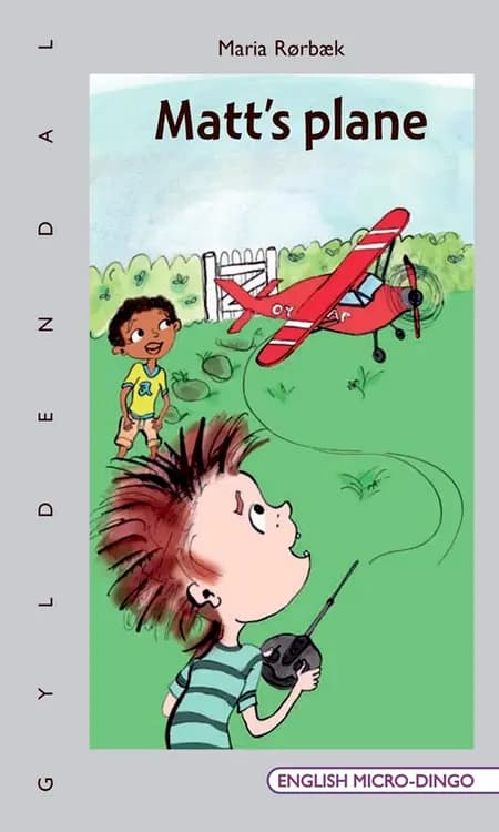 Matt's plane af Maria Rørbæk