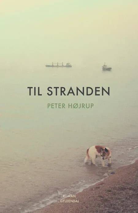 Til stranden af Peter Højrup