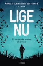 Lige nu. 21 europæiske noveller om at rejse af Hay Festival of Literature and Ltd