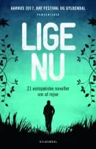 Lige nu. 21 europæiske noveller om at rejse af Hay Festival of Literature and the Arts Ltd