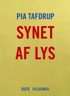 Synet af lys