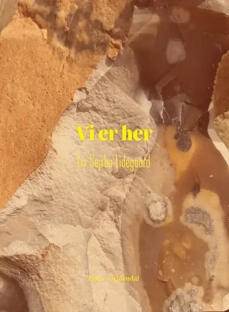 Vi er her af Liv Sejrbo Lidegaard