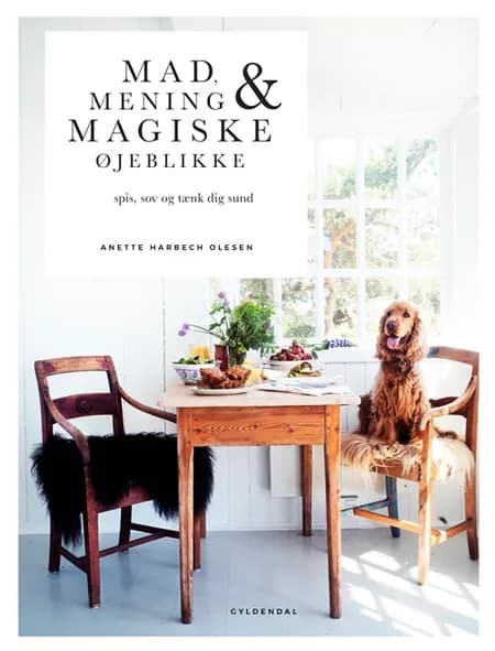 Mad, mening og magiske øjeblikke af Anette Harbech Olesen