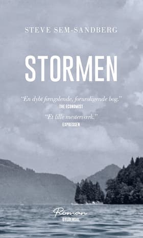 Stormen af Steve Sem-Sandberg