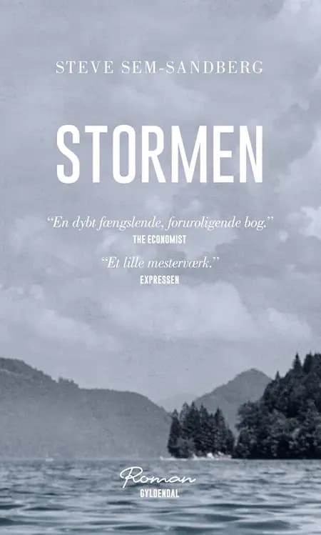 Stormen af Steve Sem-Sandberg