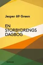 En Storbydrengs dagbog