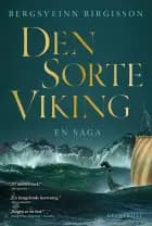 Den sorte viking af Bergsveinn Birgisson