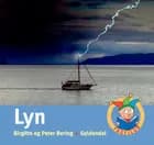 Lyn af Peter Bering og Birgitte Bering
