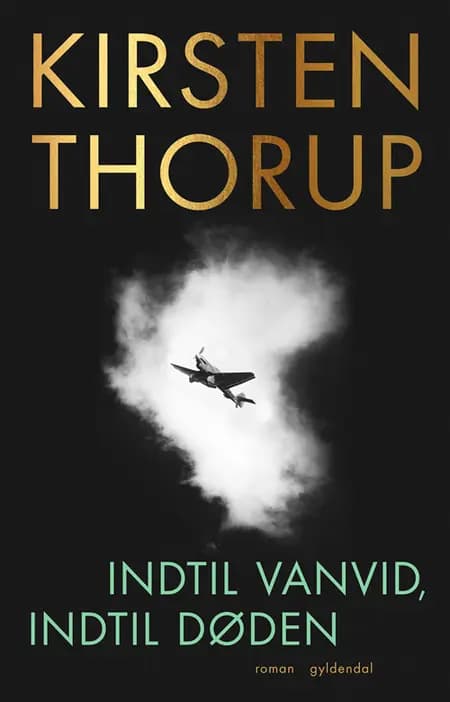 Indtil vanvid, indtil døden af Kirsten Thorup
