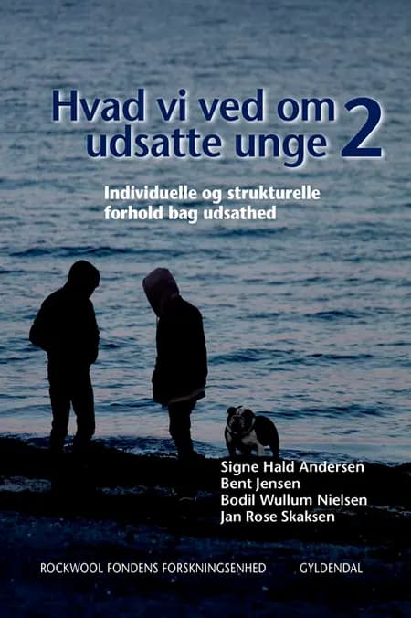 Hvad vi ved om udsatte unge 2 af Signe Hald Andersen