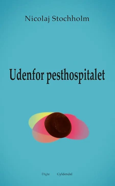 Udenfor pesthospitalet af Nicolaj Stochholm