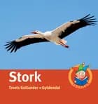 Stork