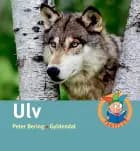Ulv
