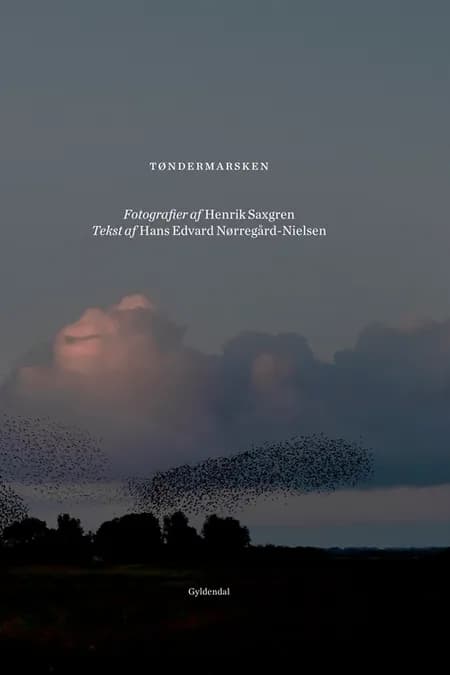 Tøndermarsken af Hans Edvard Nørregård-Nielsen