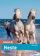 Heste af Peter Bering