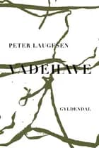 Vadehave