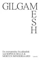 Gilgamesh af Ingen Forfatter