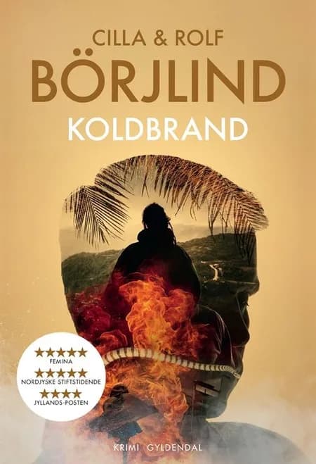 Koldbrand af Rolf Börjlind