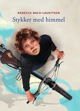 Stykker med himmel af Stian Hole