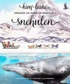 Drengen og pigen og miraklet i snehulen af Kim Leine