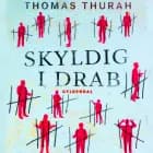 Skyldig i drab