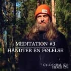 Håndter En Følelse af Jesper Westmark