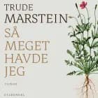 Så meget havde jeg