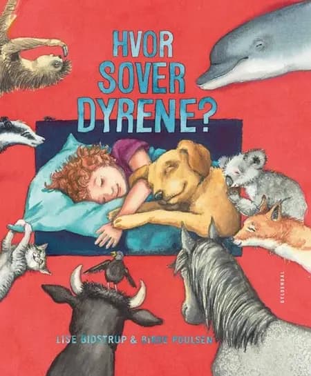 Hvor sover dyrene? af Lise Bidstrup