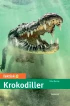Krokodiller