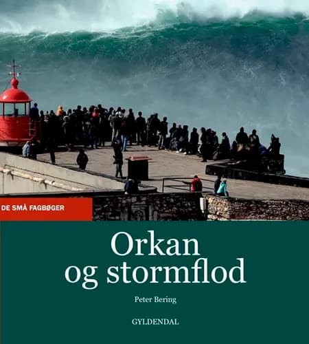 Orkan og stormflod af Peter Bering