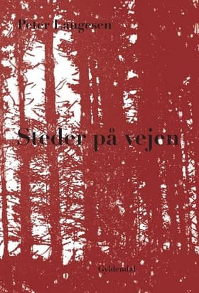 Steder på vejen af Peter Laugesen