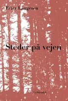 Steder på vejen af Peter Laugesen